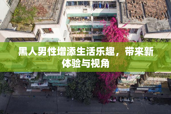 黑人男性增添生活乐趣，带来新体验与视角