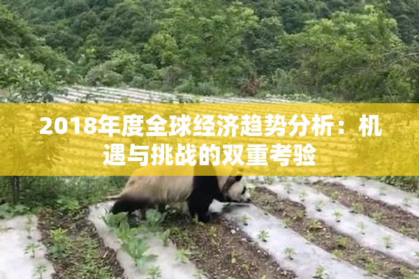 2018年度全球经济趋势分析：机遇与挑战的双重考验