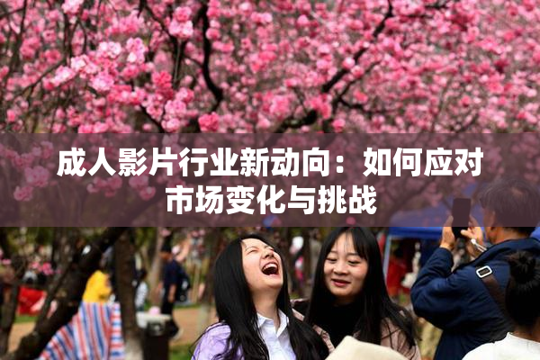 成人影片行业新动向：如何应对市场变化与挑战