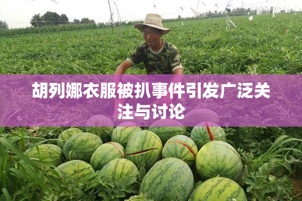 胡列娜衣服被扒事件引发广泛关注与讨论