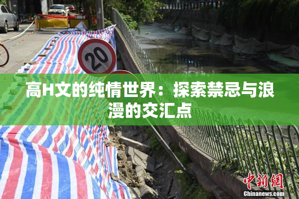 高H文的纯情世界：探索禁忌与浪漫的交汇点