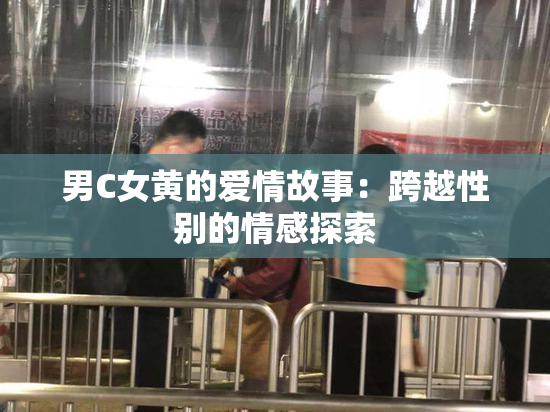 男C女黄的爱情故事：跨越性别的情感探索