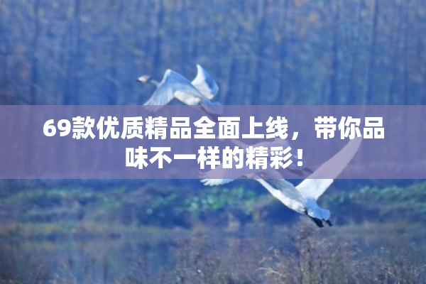 69款优质精品全面上线，带你品味不一样的精彩！