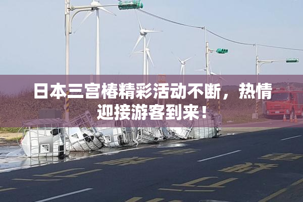 日本三宫椿精彩活动不断，热情迎接游客到来！