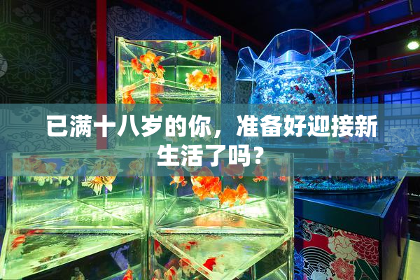 已满十八岁的你，准备好迎接新生活了吗？