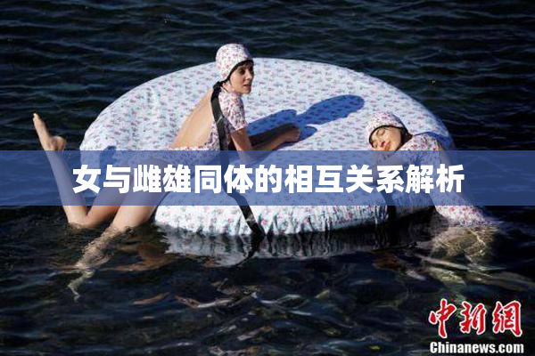 女与雌雄同体的相互关系解析