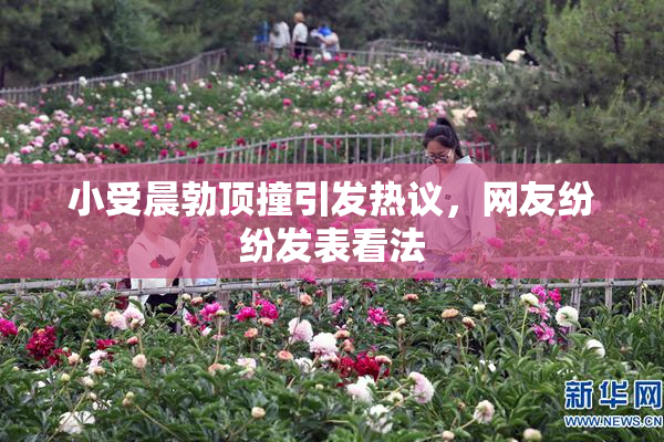 小受晨勃顶撞引发热议，网友纷纷发表看法