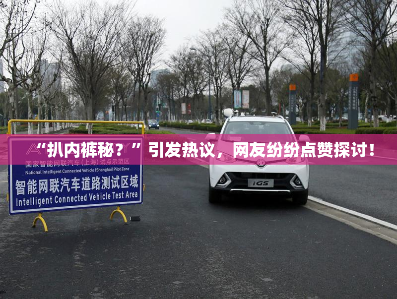 “扒内裤秘？”引发热议，网友纷纷点赞探讨！