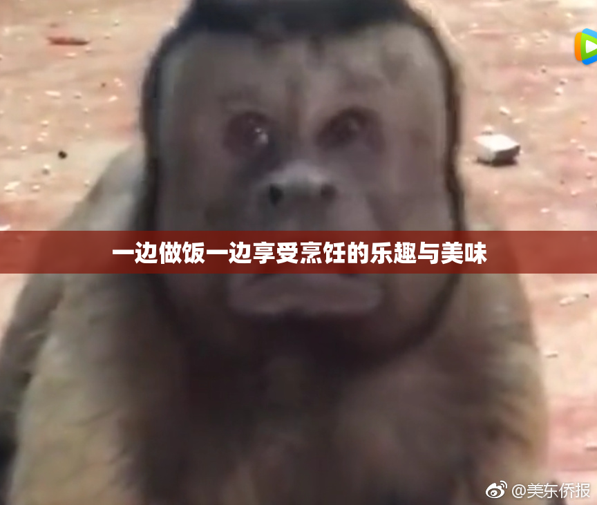 一边做饭一边享受烹饪的乐趣与美味
