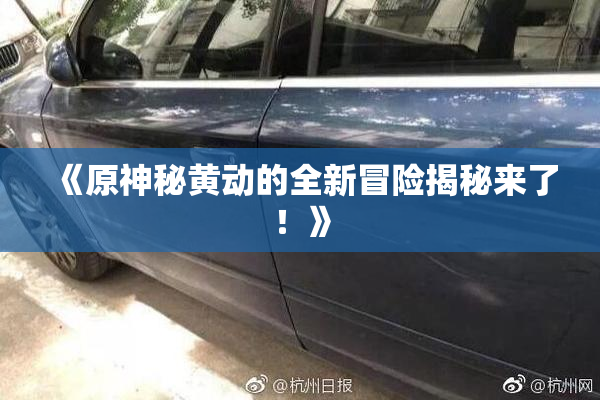 《原神秘黄动的全新冒险揭秘来了！》