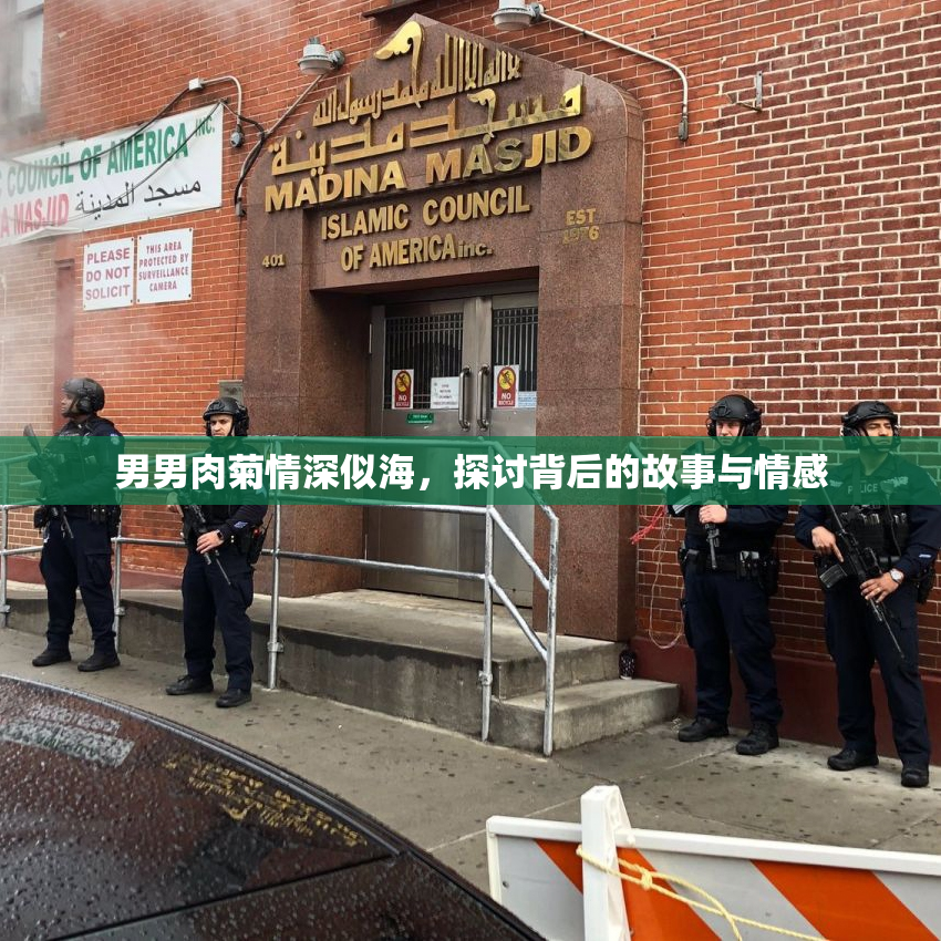 男男肉菊情深似海，探讨背后的故事与情感