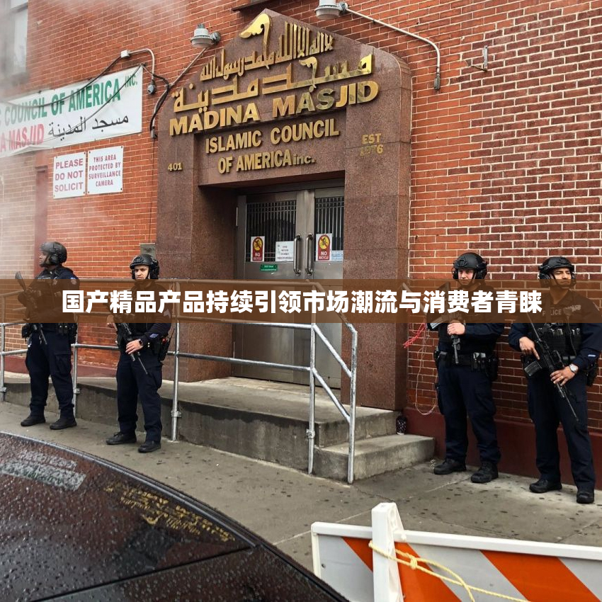 国产精品产品持续引领市场潮流与消费者青睐
