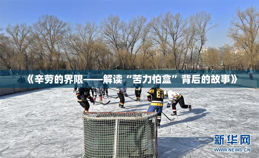 《辛劳的界限——解读“苦力怕盒”背后的故事》