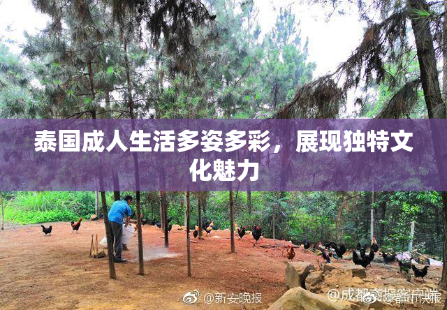 泰国成人生活多姿多彩，展现独特文化魅力