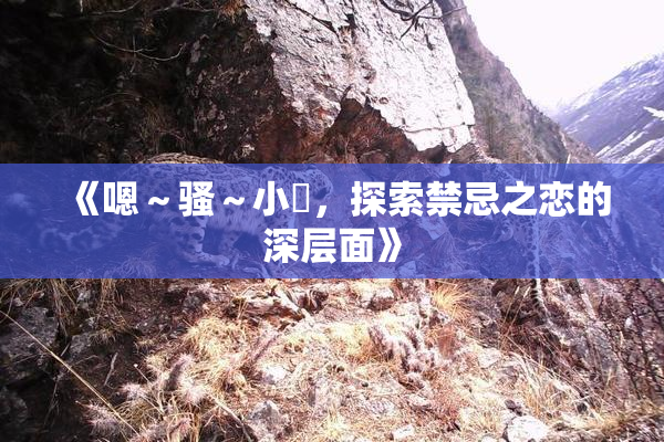 《嗯～骚～小婬，探索禁忌之恋的深层面》