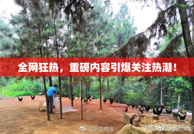 全网狂热，重磅内容引爆关注热潮！