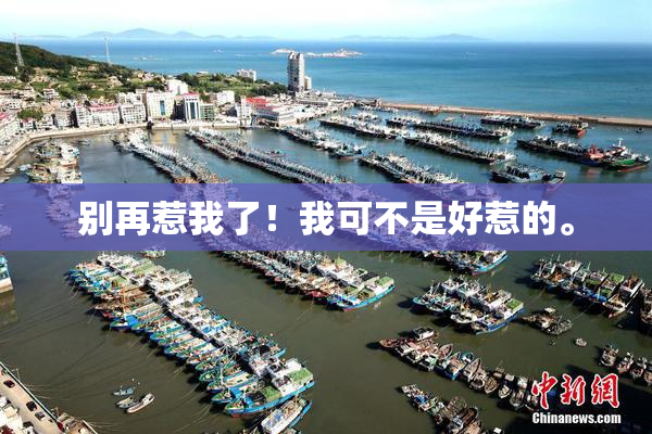 别再惹我了！我可不是好惹的。