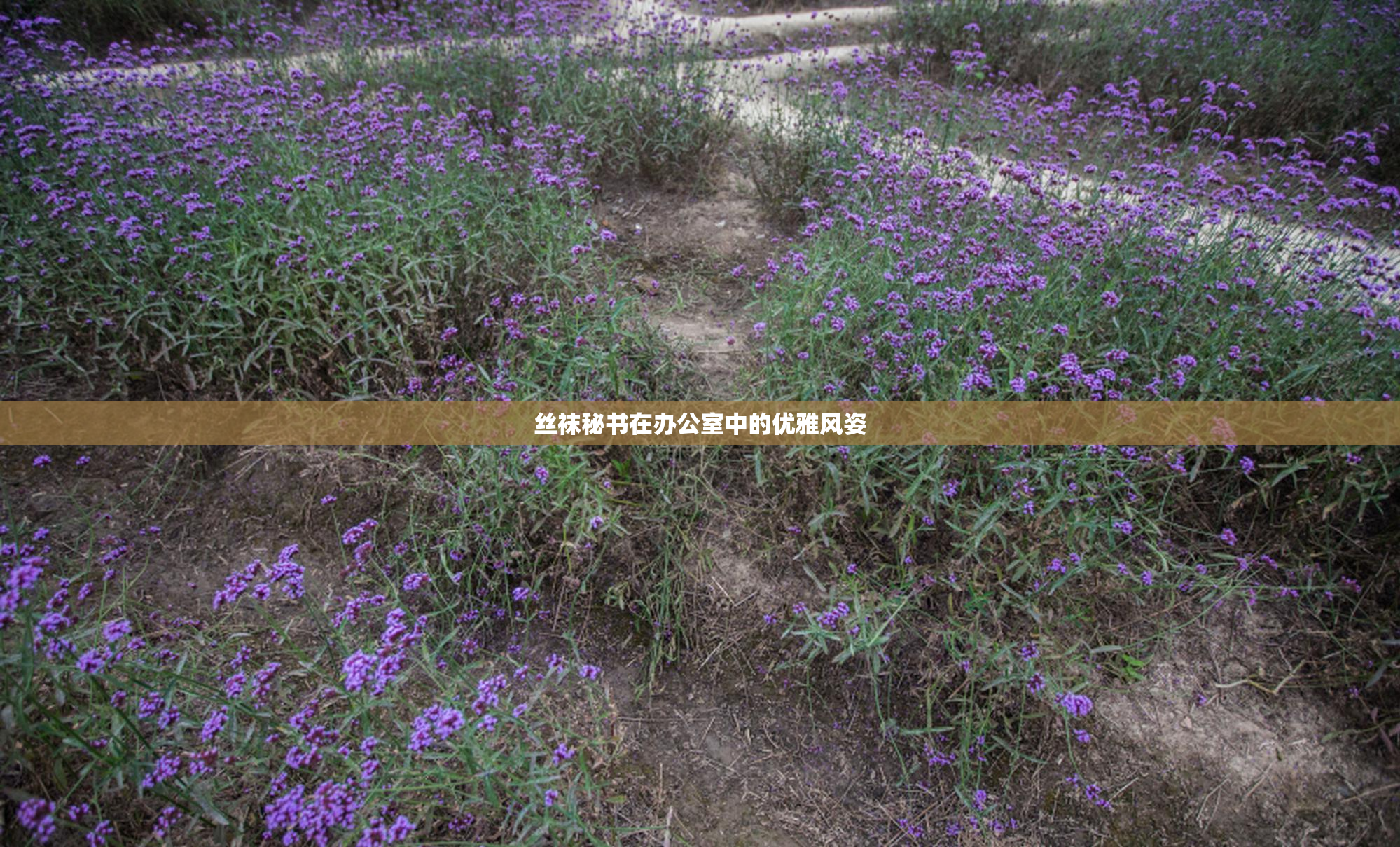 丝袜秘书在办公室中的优雅风姿