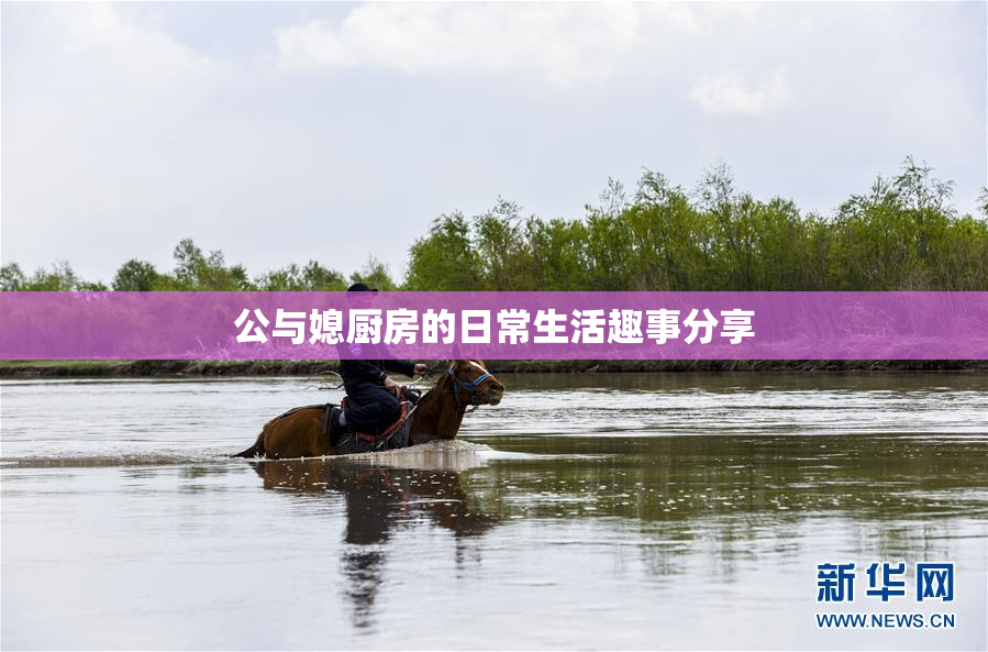 公与媳厨房的日常生活趣事分享