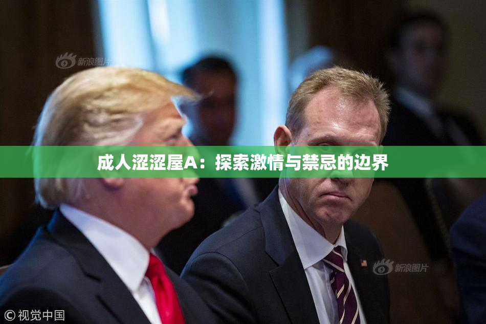 成人涩涩屋A：探索激情与禁忌的边界
