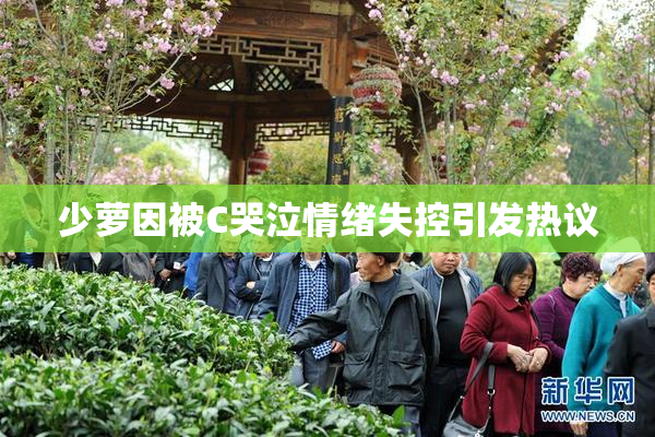 少萝因被C哭泣情绪失控引发热议
