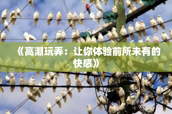 《高潮玩弄：让你体验前所未有的快感》