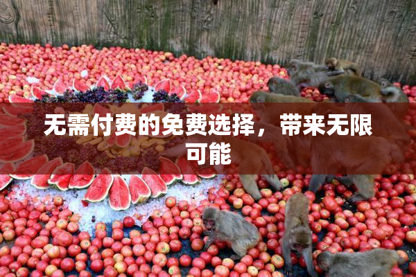 无需付费的免费选择，带来无限可能