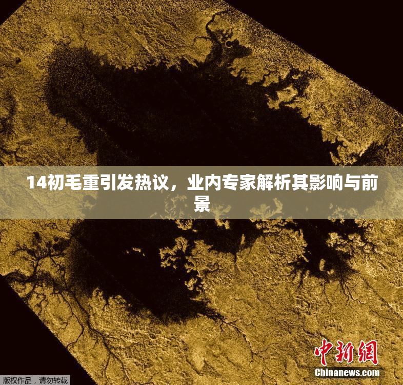 14初毛重引发热议，业内专家解析其影响与前景
