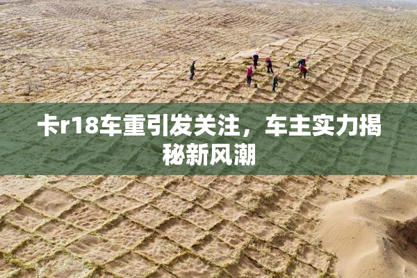 卡r18车重引发关注，车主实力揭秘新风潮