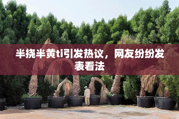 半挠半黄ti引发热议，网友纷纷发表看法