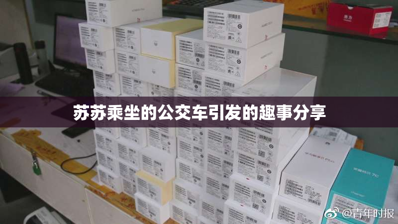 苏苏乘坐的公交车引发的趣事分享