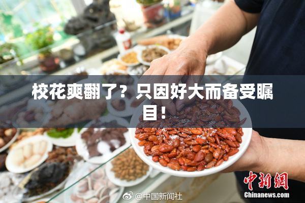校花爽翻了？只因好大而备受瞩目！
