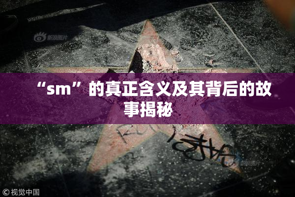 “sm”的真正含义及其背后的故事揭秘