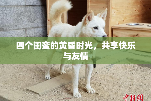 四个闺蜜的黄昏时光，共享快乐与友情