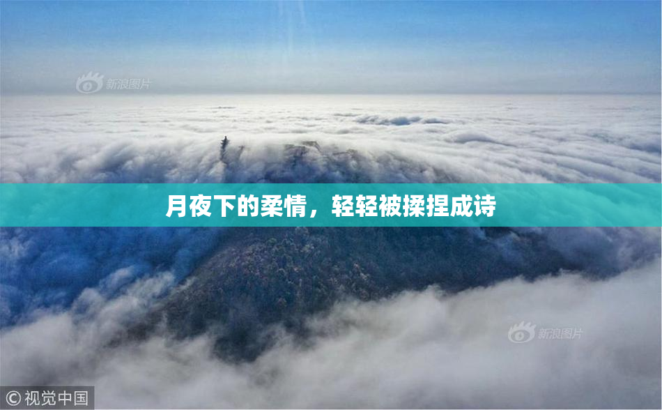 月夜下的柔情，轻轻被揉捏成诗
