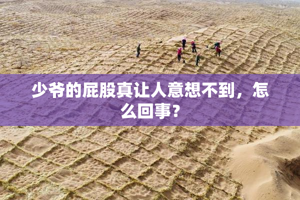 少爷的屁股真让人意想不到，怎么回事？