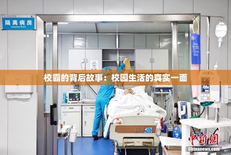 校霸的背后故事：校园生活的真实一面