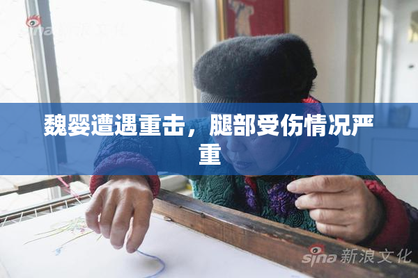 魏婴遭遇重击，腿部受伤情况严重
