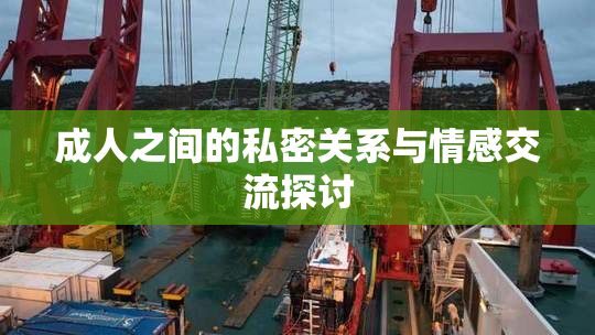 成人之间的私密关系与情感交流探讨
