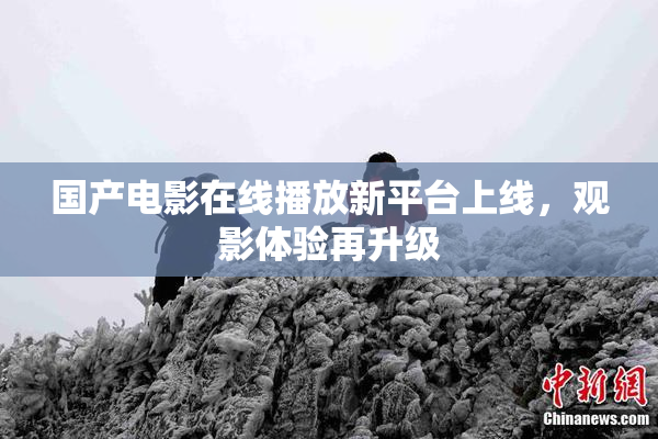 国产电影在线播放新平台上线，观影体验再升级