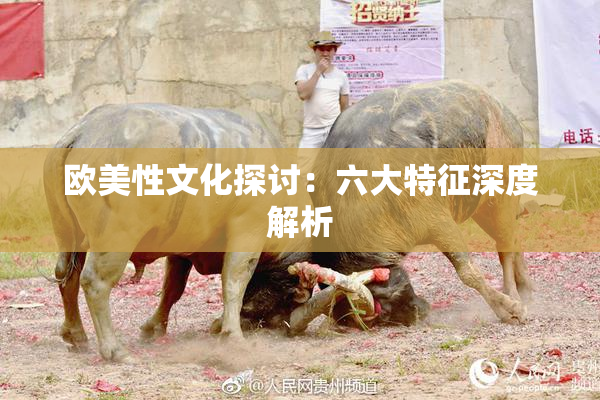 欧美性文化探讨：六大特征深度解析