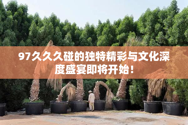 97久久久碰的独特精彩与文化深度盛宴即将开始！