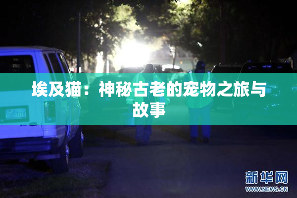 埃及猫：神秘古老的宠物之旅与故事