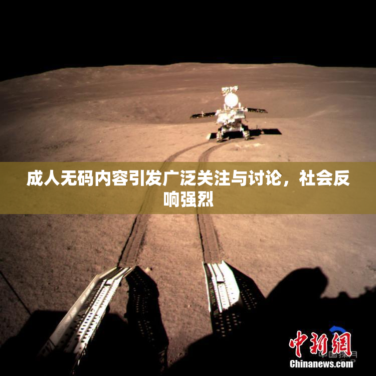 成人无码内容引发广泛关注与讨论，社会反响强烈
