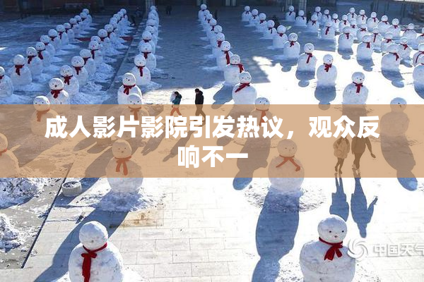 成人影片影院引发热议，观众反响不一