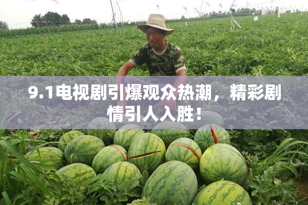 9.1电视剧引爆观众热潮，精彩剧情引人入胜！