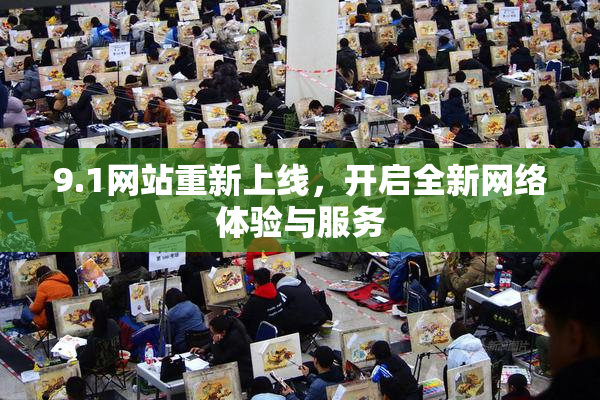 9.1网站重新上线，开启全新网络体验与服务