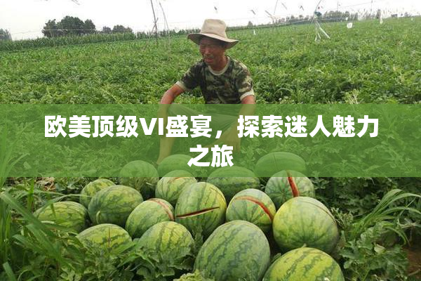 欧美顶级VI盛宴，探索迷人魅力之旅