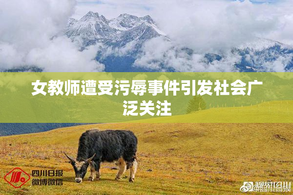 女教师遭受污辱事件引发社会广泛关注
