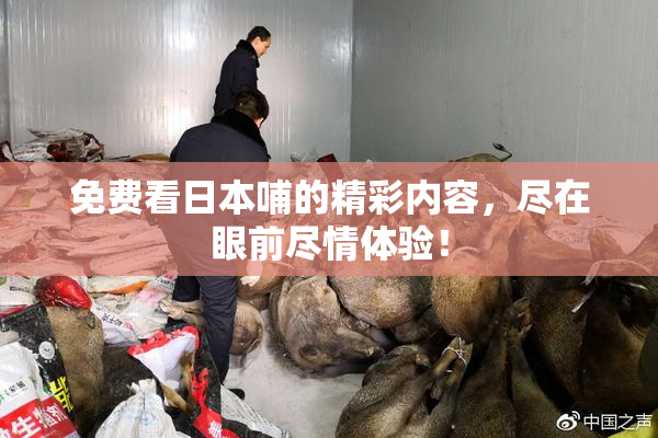免费看日本哺的精彩内容，尽在眼前尽情体验！